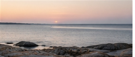 Recension i Dagens Nyheter